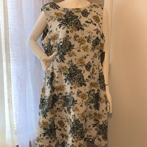 NY & C Dress